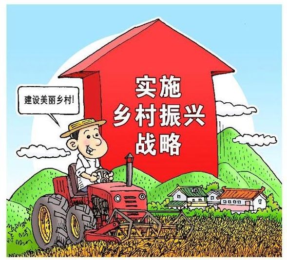 长草村委会招聘公告，最新职位信息及要求发布