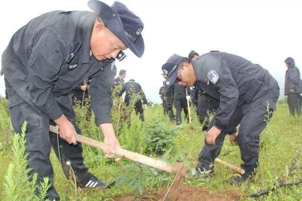 迪庆藏族自治州公安局最新新闻动态分析