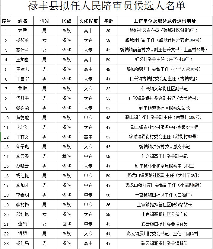 禄丰县剧团人事任命动态深度解析