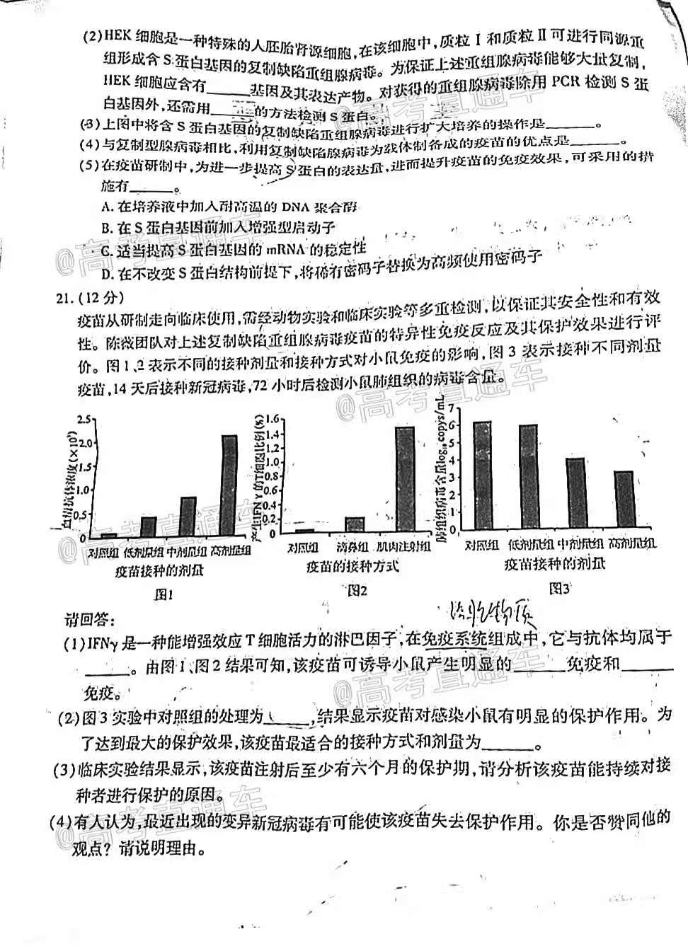 澳门四肖,最新解答解析说明_动态版23.250