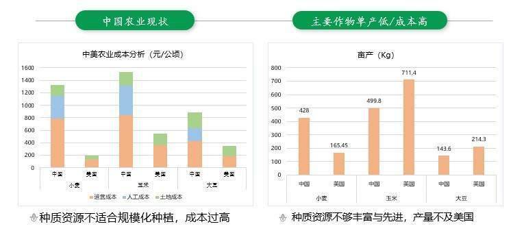 2024新澳天天彩资料免费提供,数据设计驱动策略_豪华版66.316