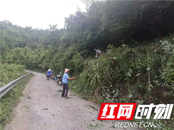 高峰乡交通新篇章，迈向现代化交通里程碑