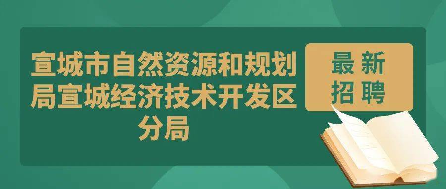 霞山区自然资源和规划局招聘新公告解析