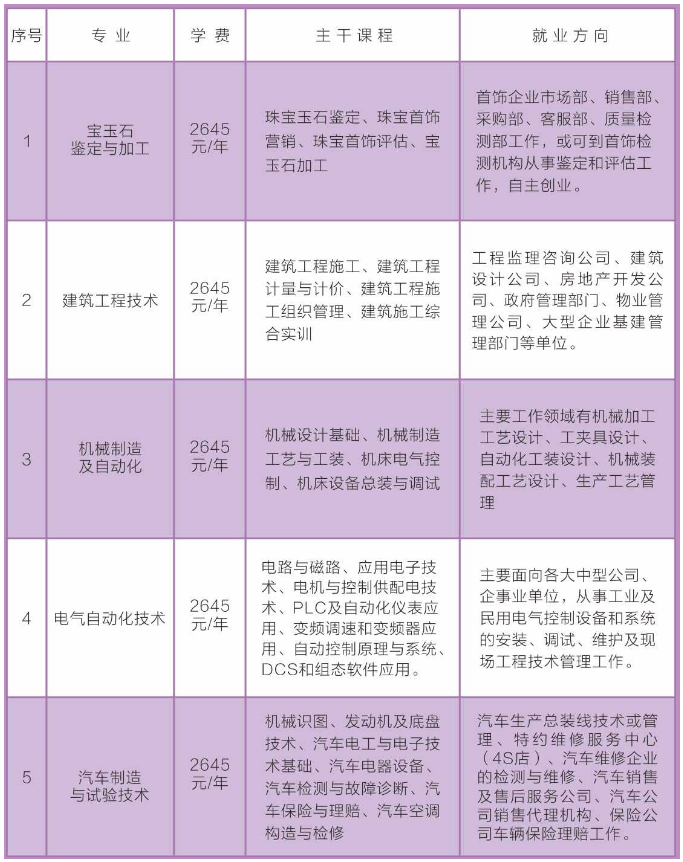 寿县成人教育事业单位发展规划概览