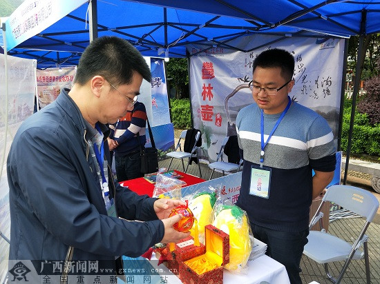 正宁县文化广电体育和旅游局新项目助力地方文化体育事业蓬勃发展