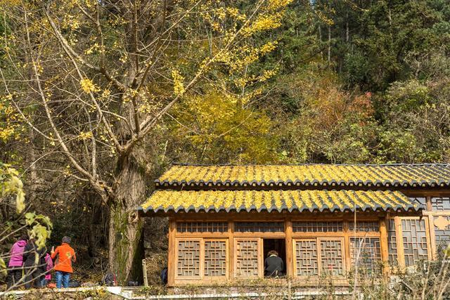 大洪山乡交通建设日新月异，助力地方经济腾飞新动态