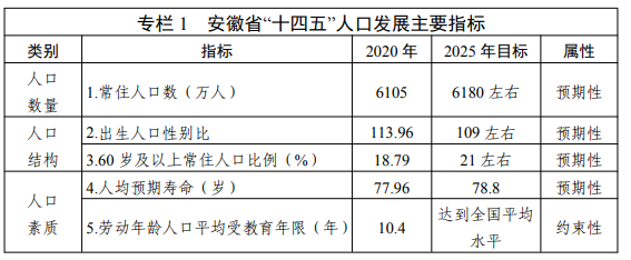 合肥市市人口和计划生育委员会最新项目，推动人口计生事业迈向新高度