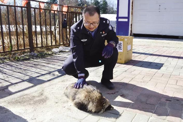 延边朝鲜族自治州市林业局领导团队新貌与林业发展策略揭秘