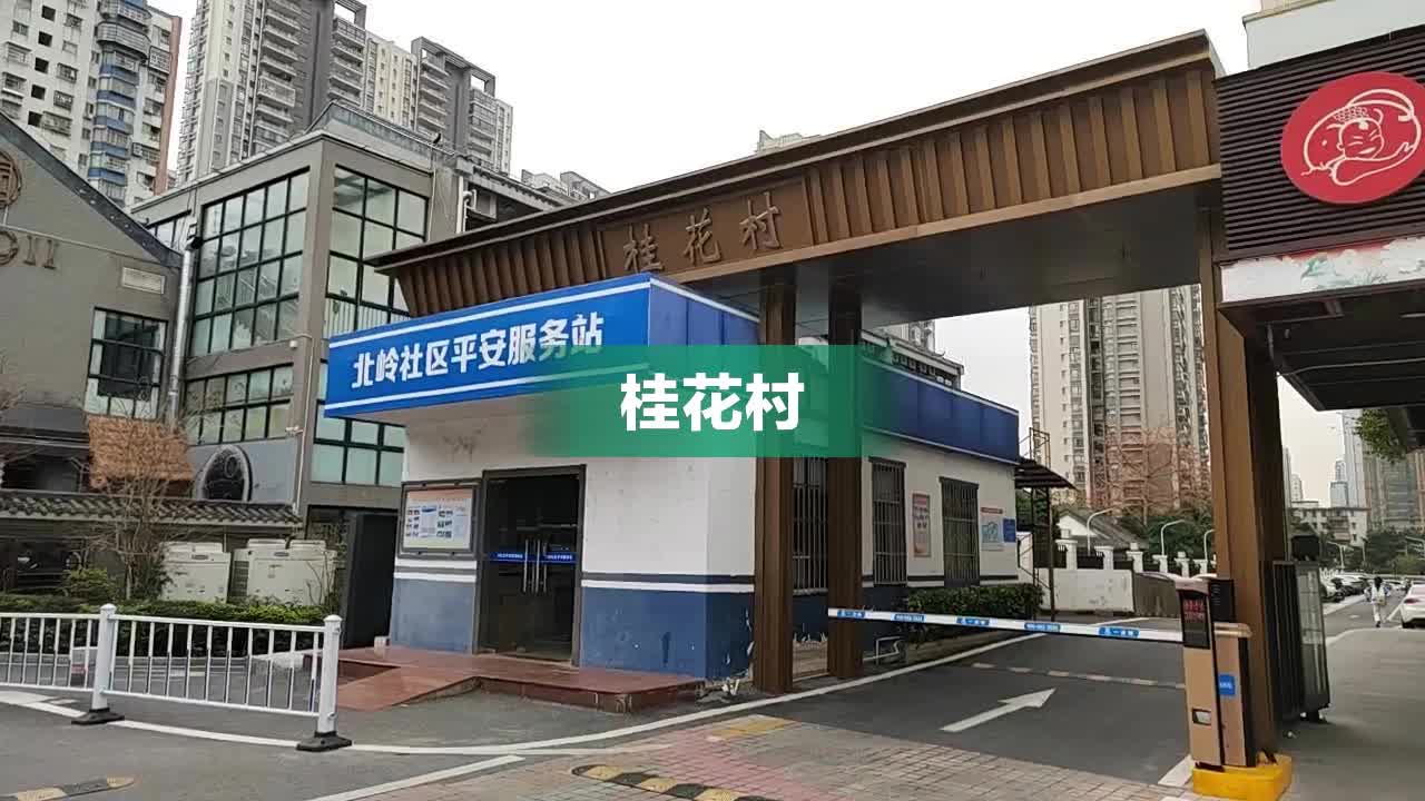 桂花社区村重塑乡村魅力，引领未来发展新篇章