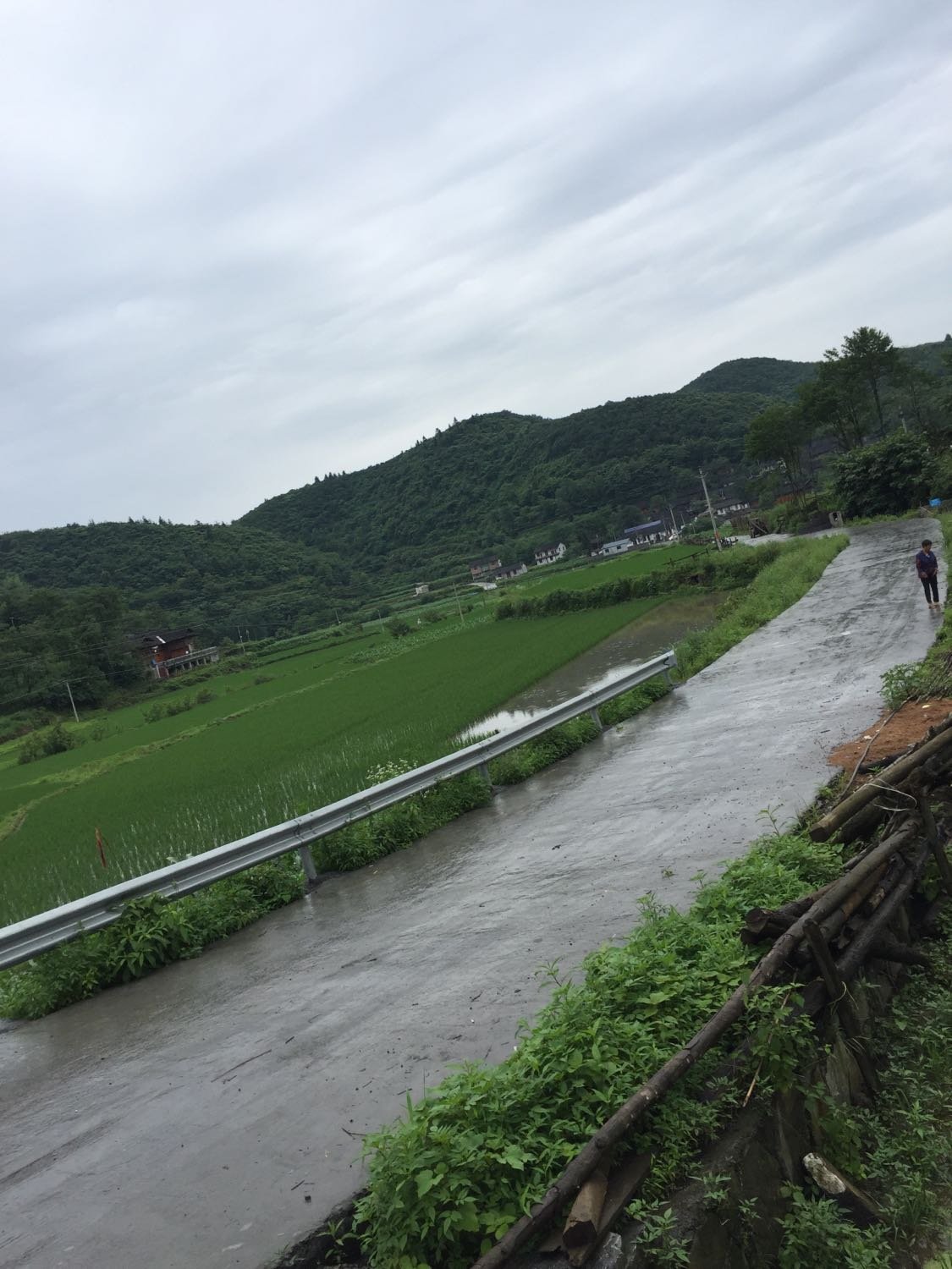 中湾村委会天气预报更新通知