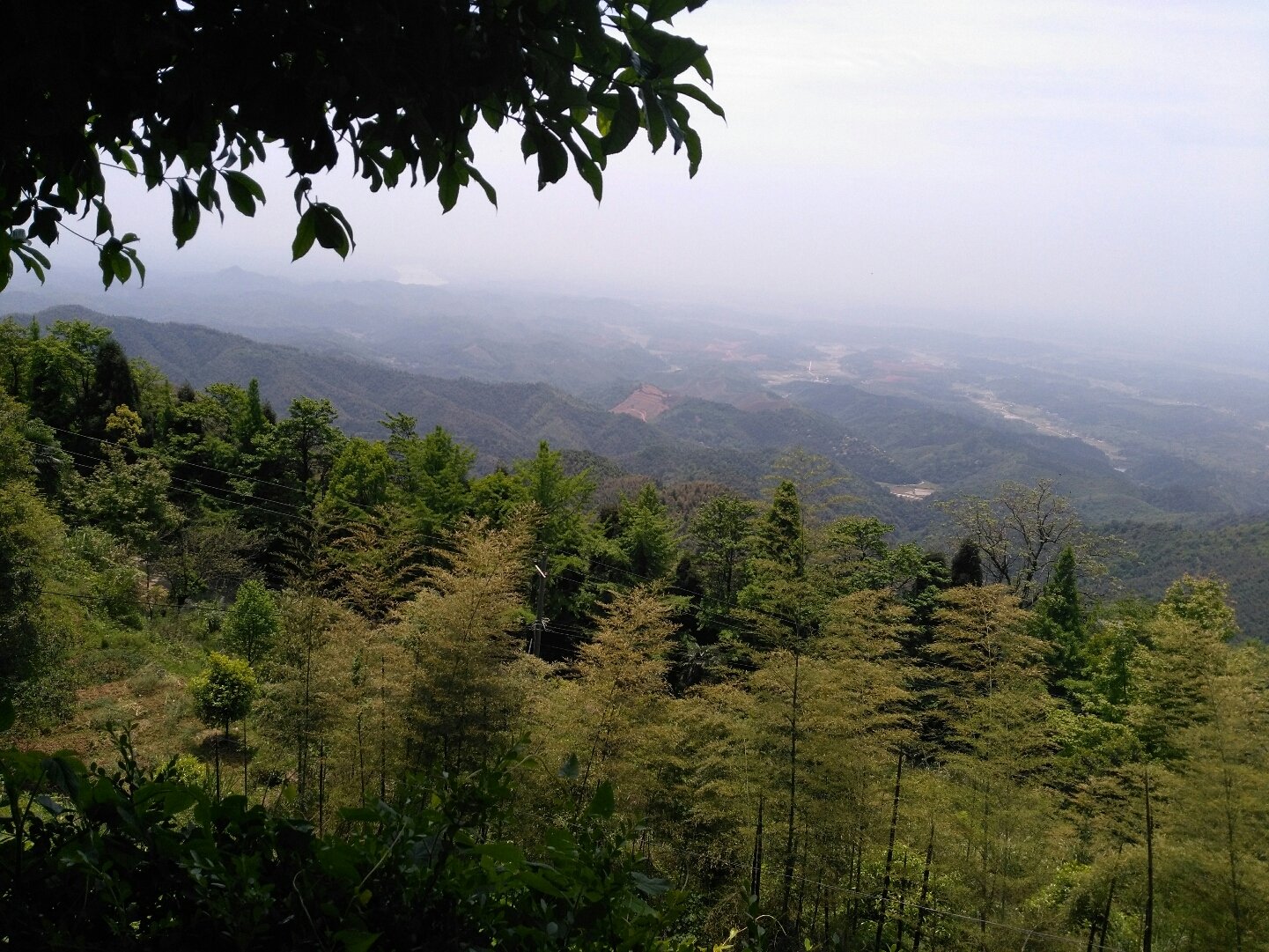 衡阳县岣嵝峰林场最新天气预报