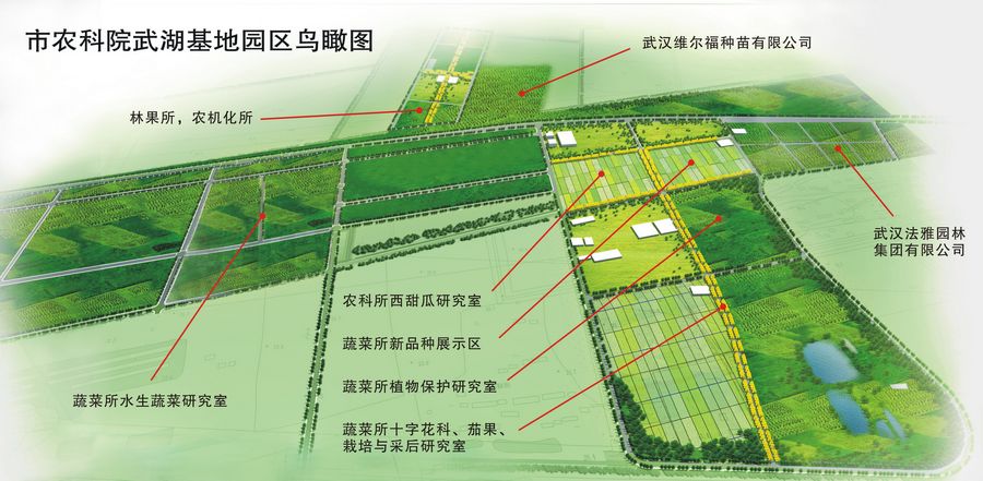 湛河区农业农村局最新发展规划概览