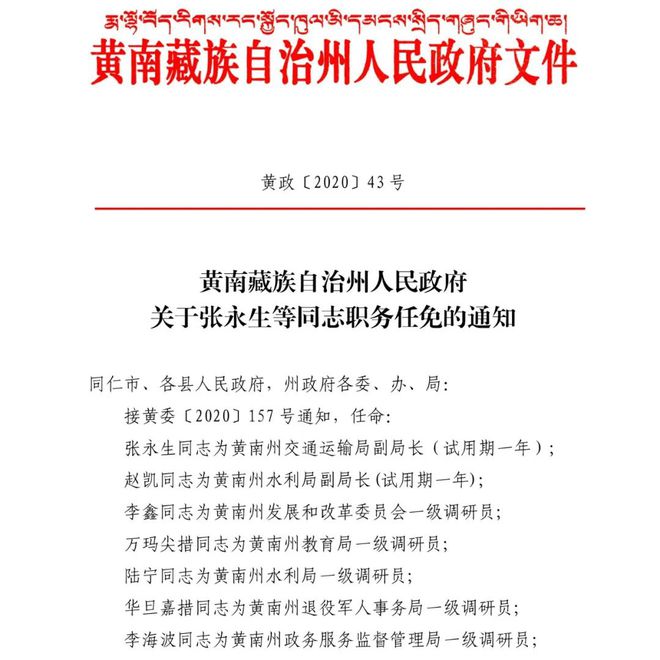 塔城市文化局最新人事任命动态及未来展望