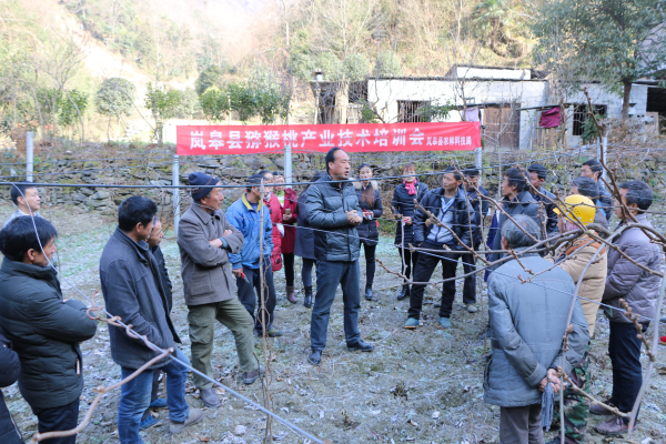 莫堆村发展规划蓝图，走向繁荣与和谐之路