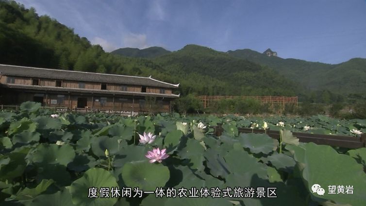 平田乡新发展规划，重塑乡村面貌，激发经济新活力