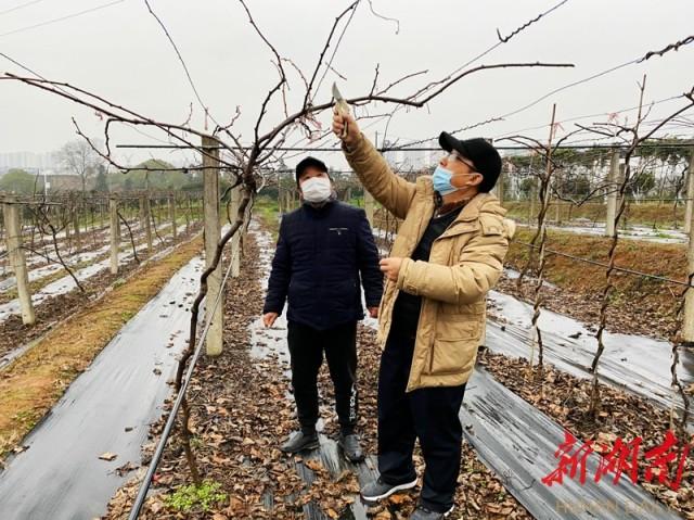 高坪区科技局最新资讯动态概述