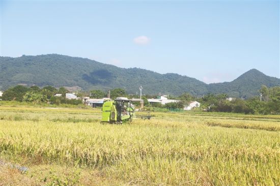 瓦房里村委会最新动态报道