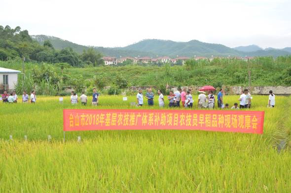 永春县农业农村局新项目推动农业现代化助力乡村振兴