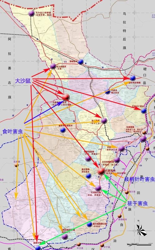 新巴尔虎右旗文化局发展规划展望，未来蓝图揭秘