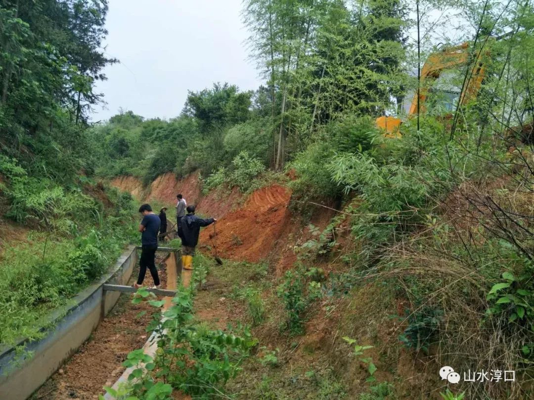 淳口镇新项目，引领地区发展新力量