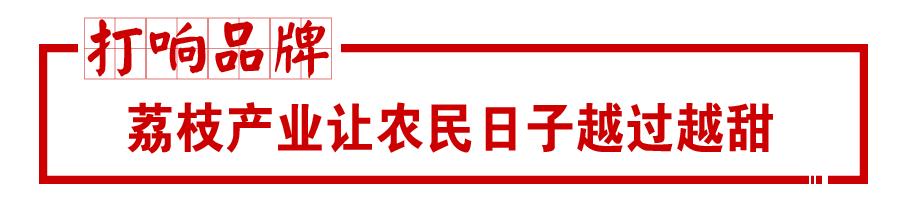 高州市水利局最新动态报道