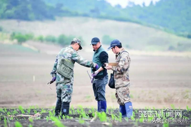 永源镇最新项目，地区发展的强大引擎领航者