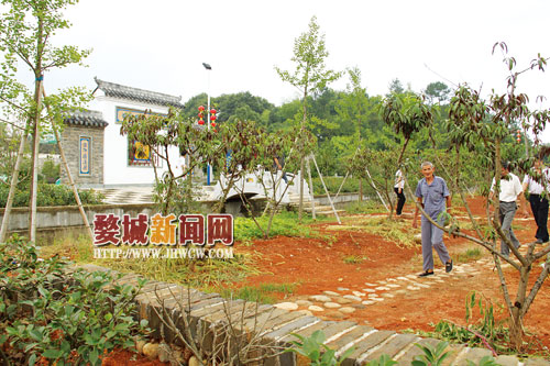 学塔村最新项目，乡村振兴的新里程碑进展报道