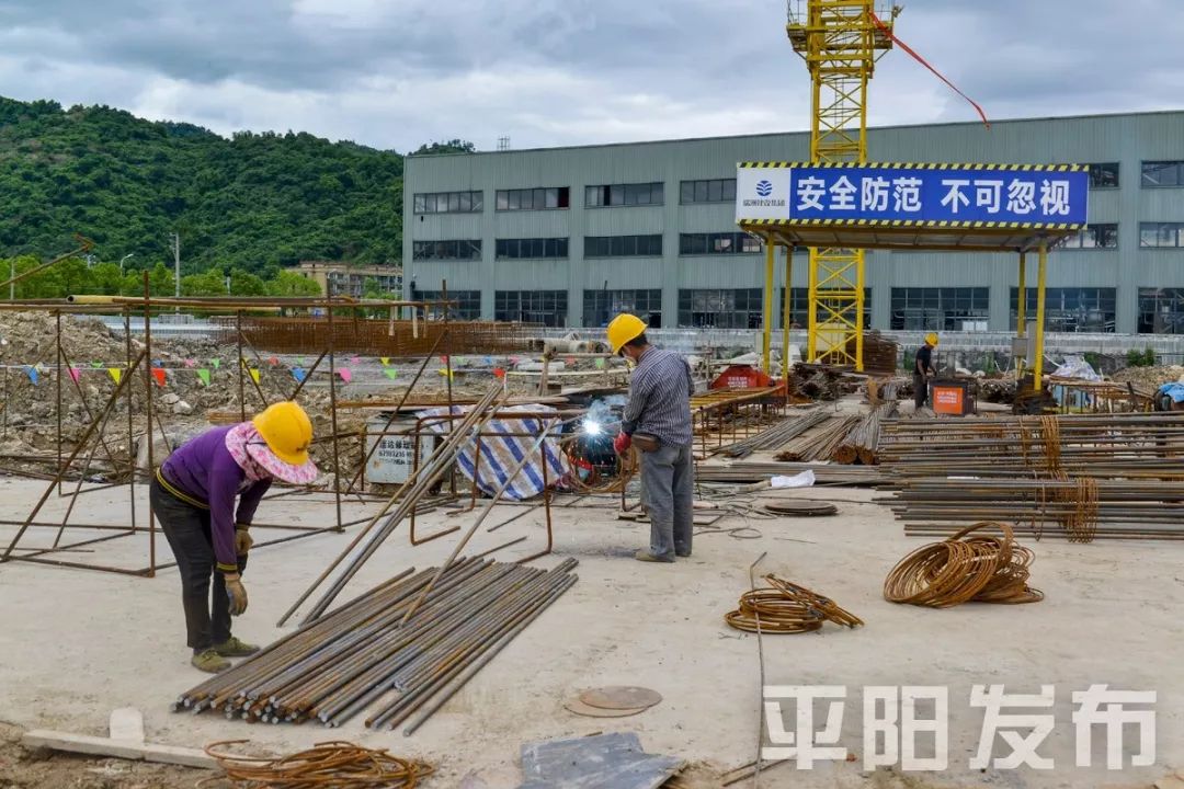 麻步镇未来繁荣新蓝图，最新发展规划揭秘