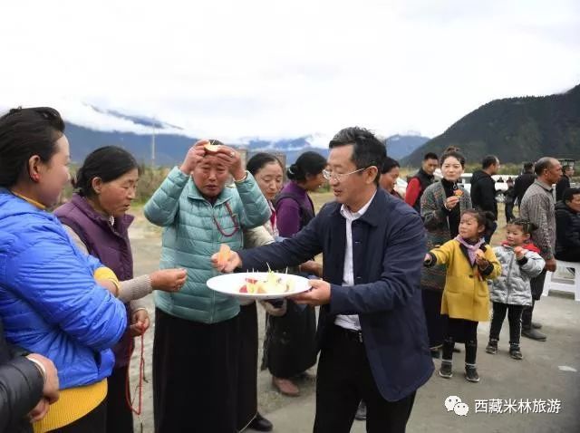 麻子川村民委员会交通新闻更新