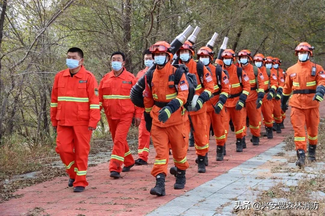 小兴安林场新领导引领下的变革与发展浪潮