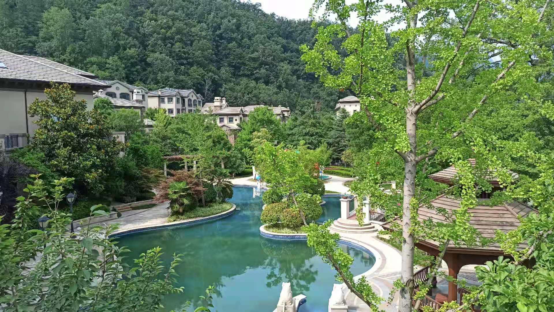 南阳市西峡伏牛山老界岭-恐龙遗址园旅游区最新新闻揭秘