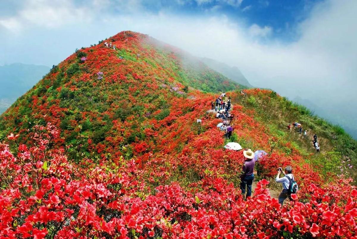 丹寨县文化广电体育和旅游局最新招聘信息概览