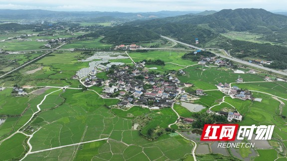 靖州苗族侗族自治县计划生育委员会最新项目实施进展报告