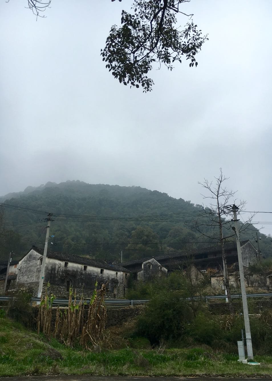 筋竹镇天气预报更新通知