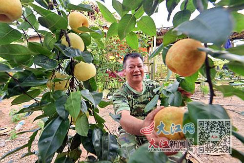 新店林场新任领导引领绿色变革之路