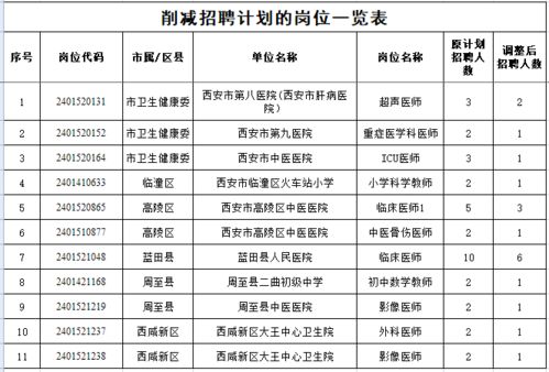 韶山市级托养福利事业单位发展规划展望