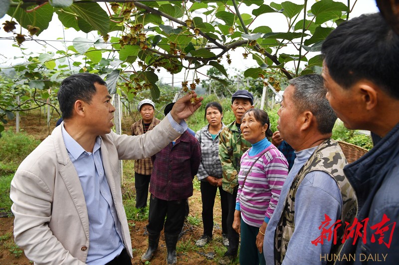 果夹村最新新闻报道概览