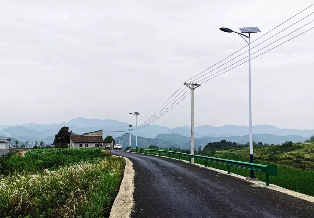 鱼鹤村交通升级助力乡村发展新闻速递