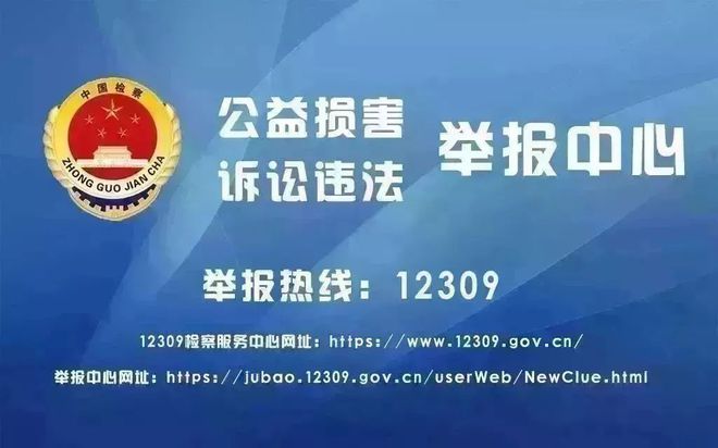 泰顺县财政局最新招聘概览