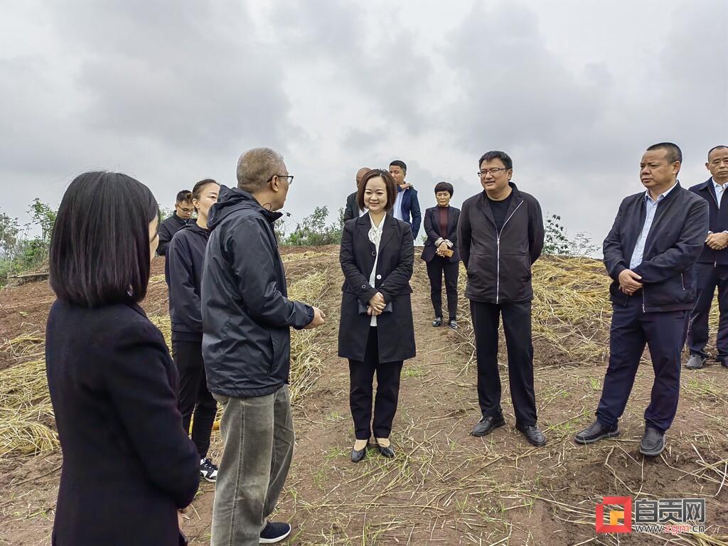 富顺县统计局最新发展规划概览