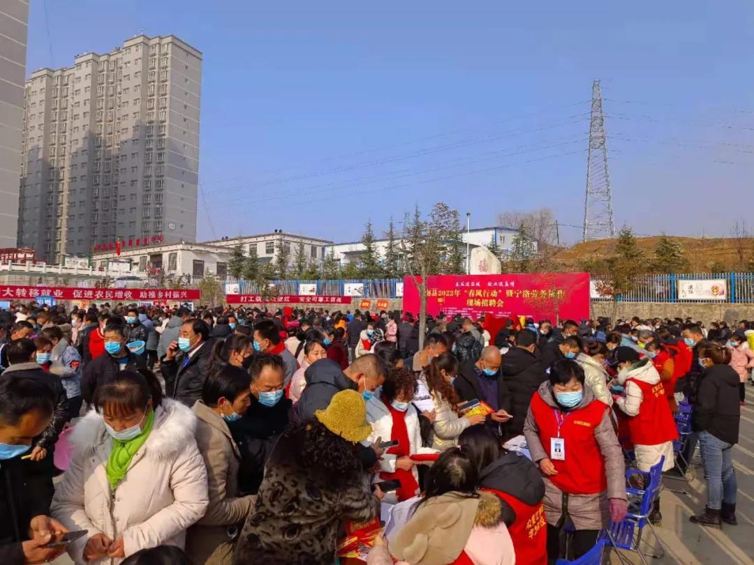 洛南县住房和城乡建设局最新招聘公告概览