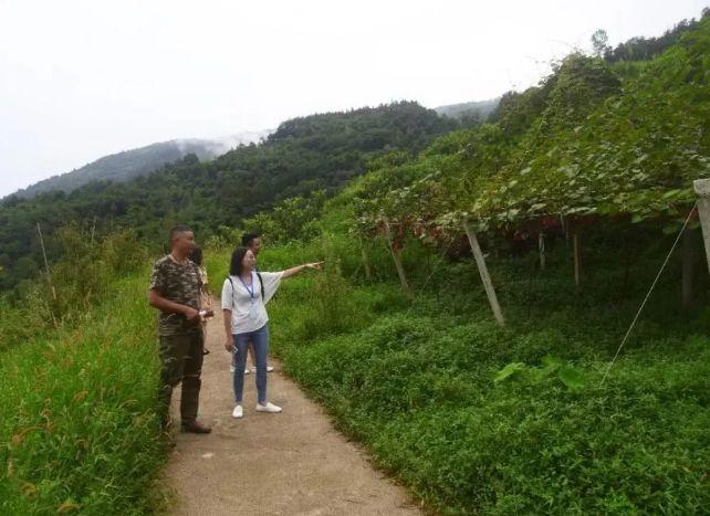 名山农场领导团队引领农场开启新篇章