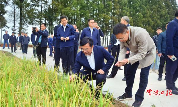 贺家山原种场天气预报更新