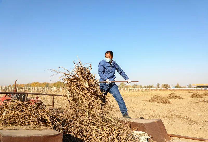 托里县住房和城乡建设局新项目启动，塑造美好城市未来