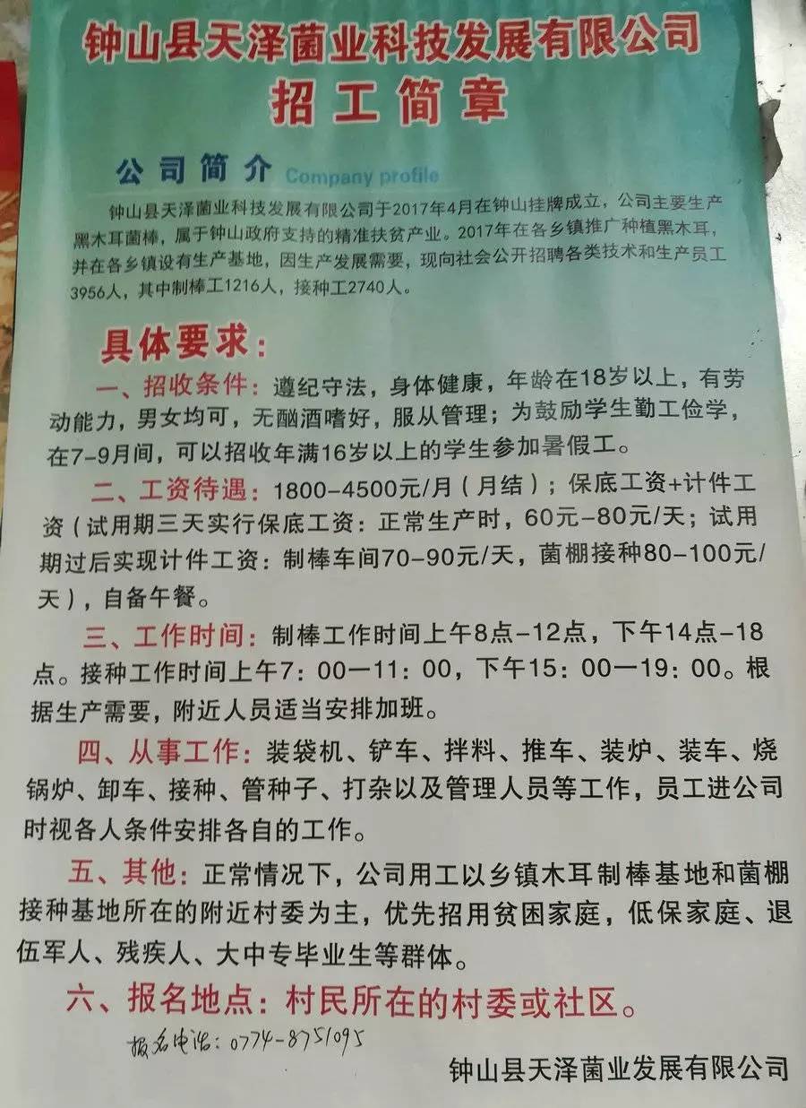 第一良种场最新招聘启事全览