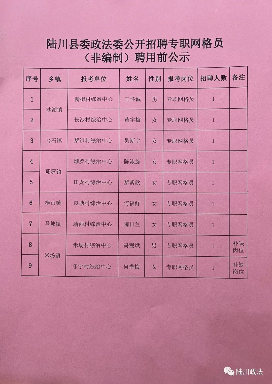 陆川县数据和政务服务局招聘公告详解