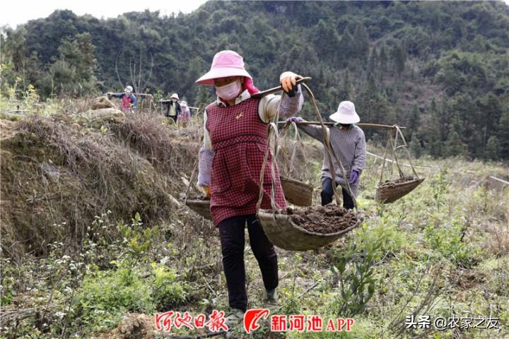 罗城仫佬族自治县防疫检疫站领导团队引领担当防疫新篇章