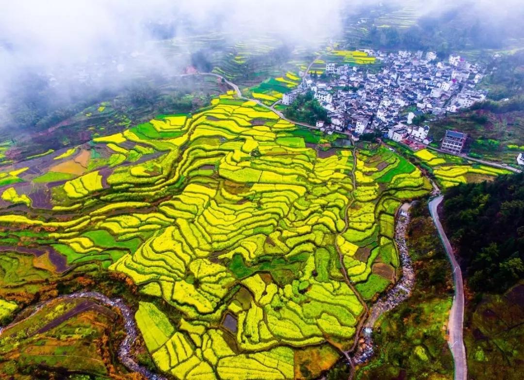 岛屿失梦