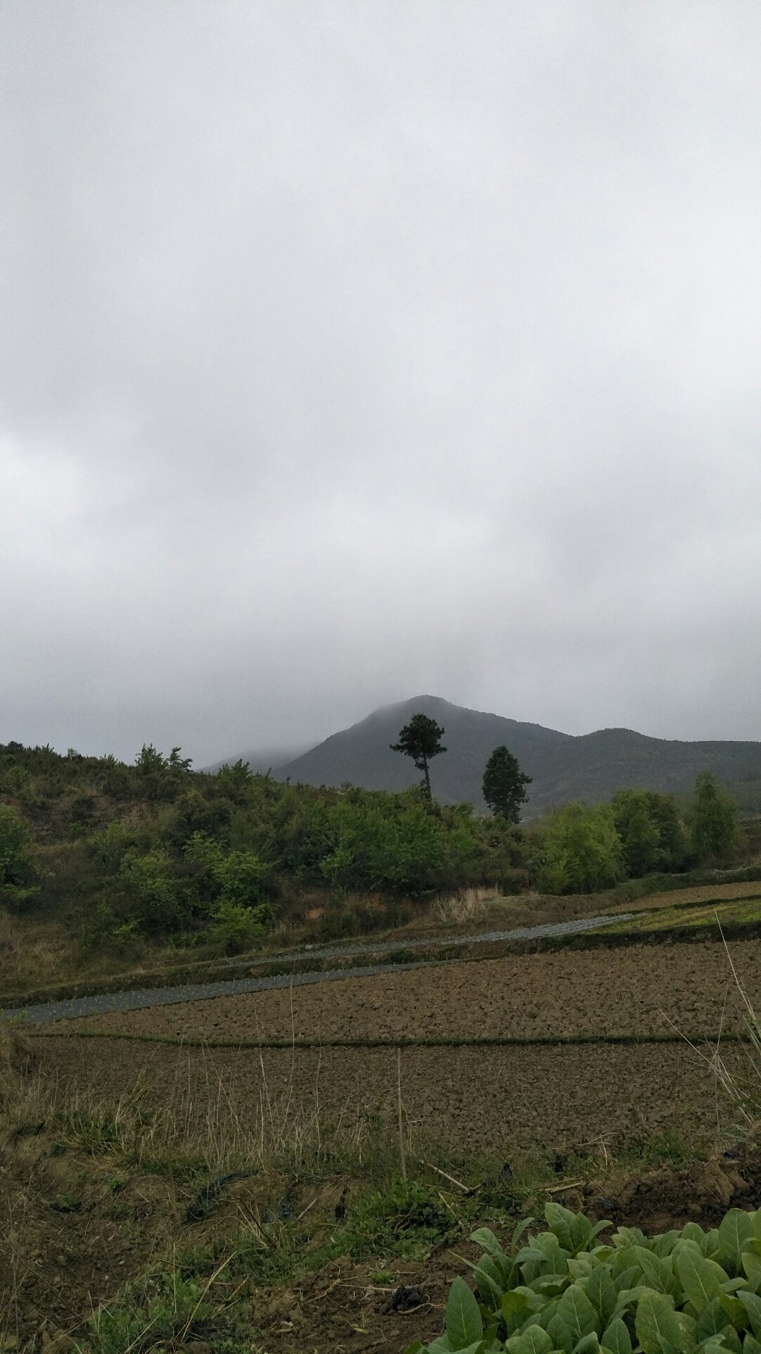 救兵乡天气预报更新通知